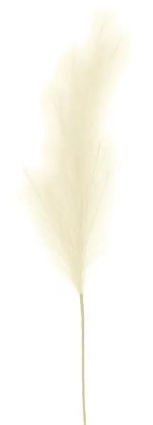 43"L Fabric Pampas Grass Plume Spray: Cream - FG601537