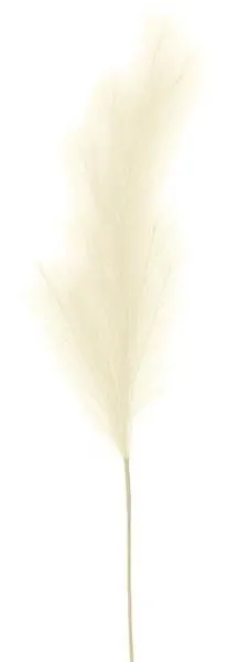 43"L Fabric Pampas Grass Plume Spray: Cream - FG601537
