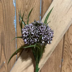 Allium Grass Mauve