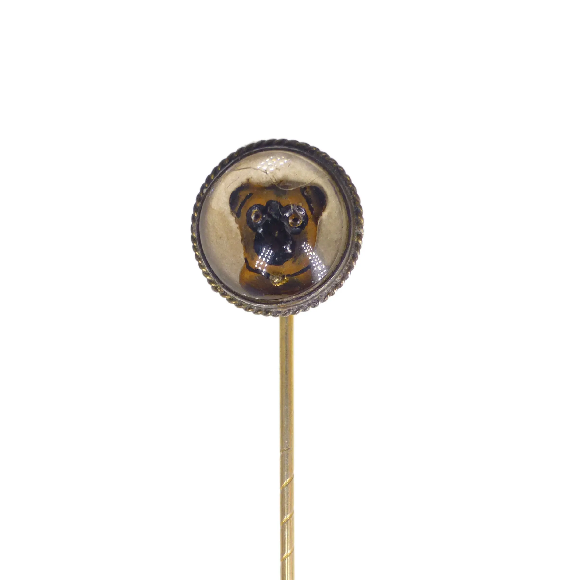 Antique Reverse Carved Pug Dog Stick Pin - Boxed