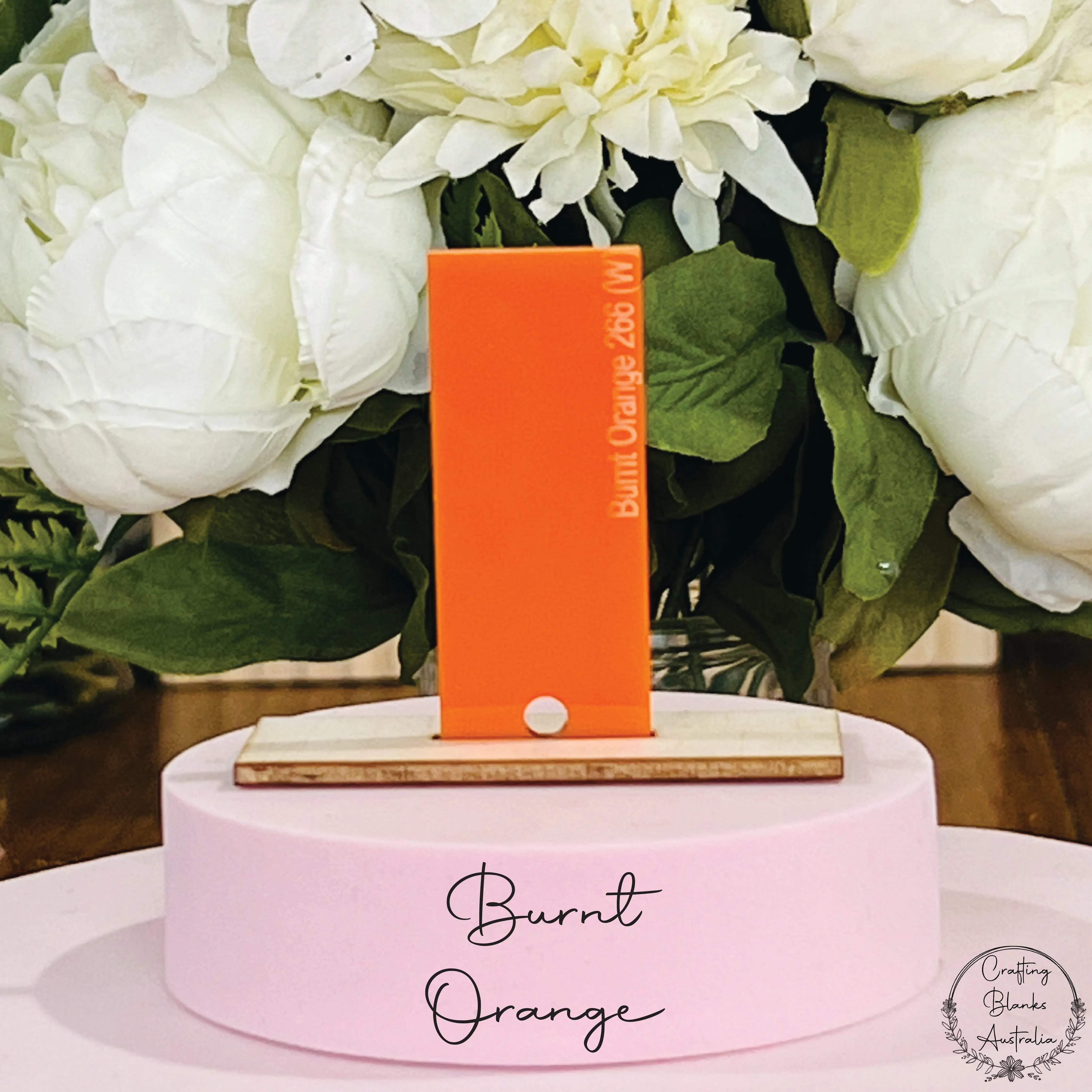 Balloon • Arch Blank Tag • 30mm x 60mm