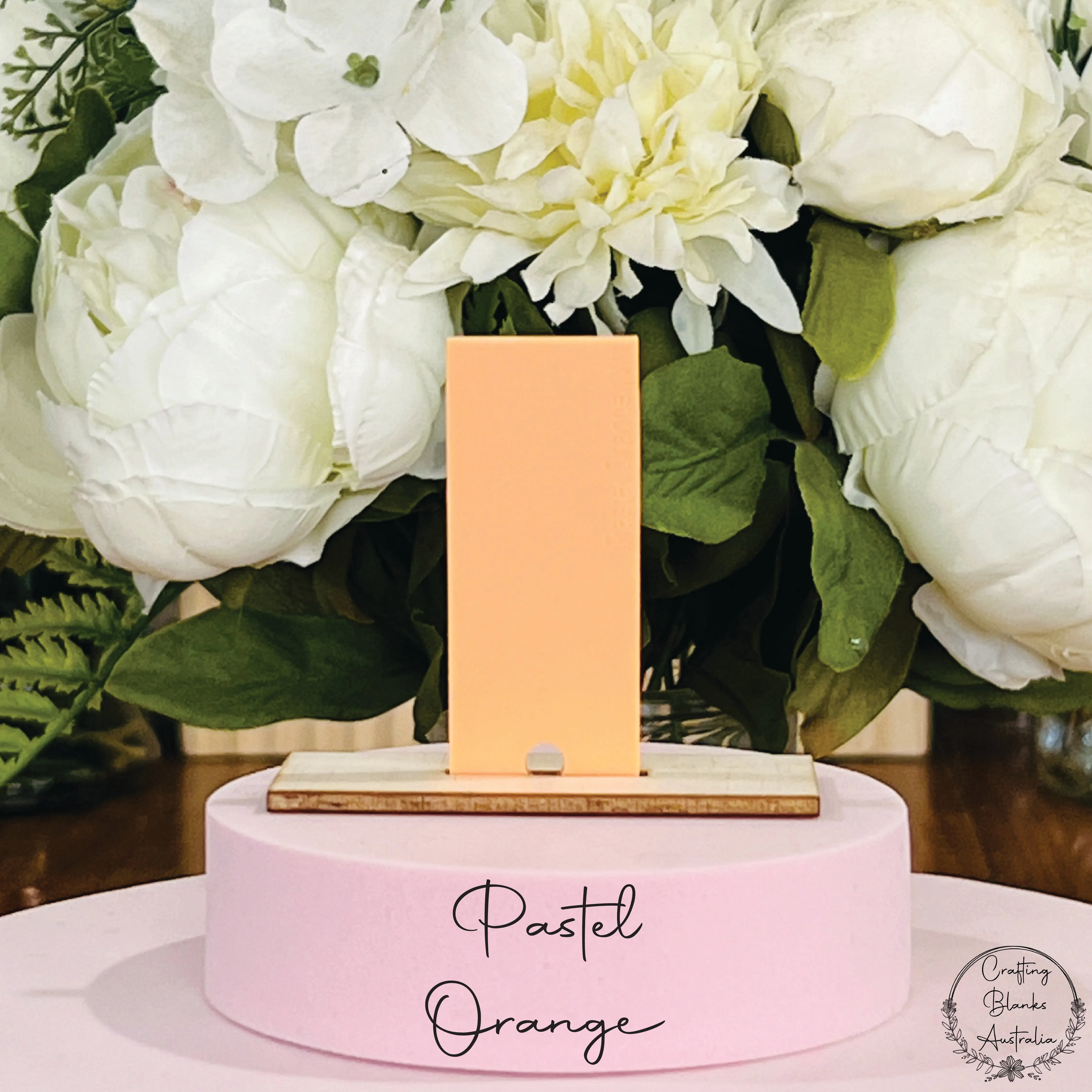 Balloon • Arch Blank Tag • 30mm x 60mm
