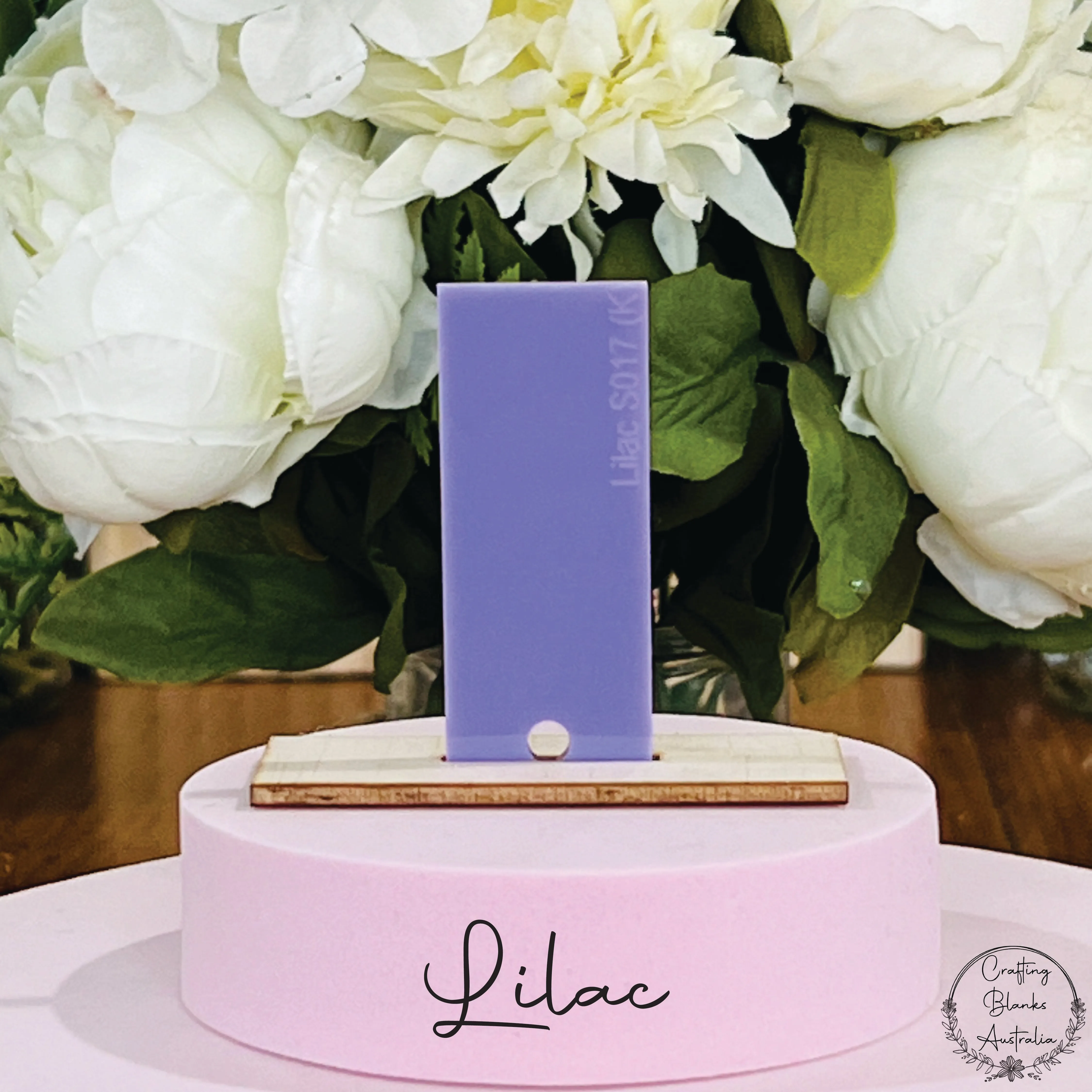 Balloon • Arch Blank Tag • 30mm x 60mm