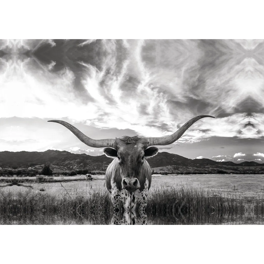 Black And White Longhorn Cow I - Wrapped Canvas Photograph Steelside™ Size: 24" H x 36" W   Format: Black Framed Print, Mat Included: No