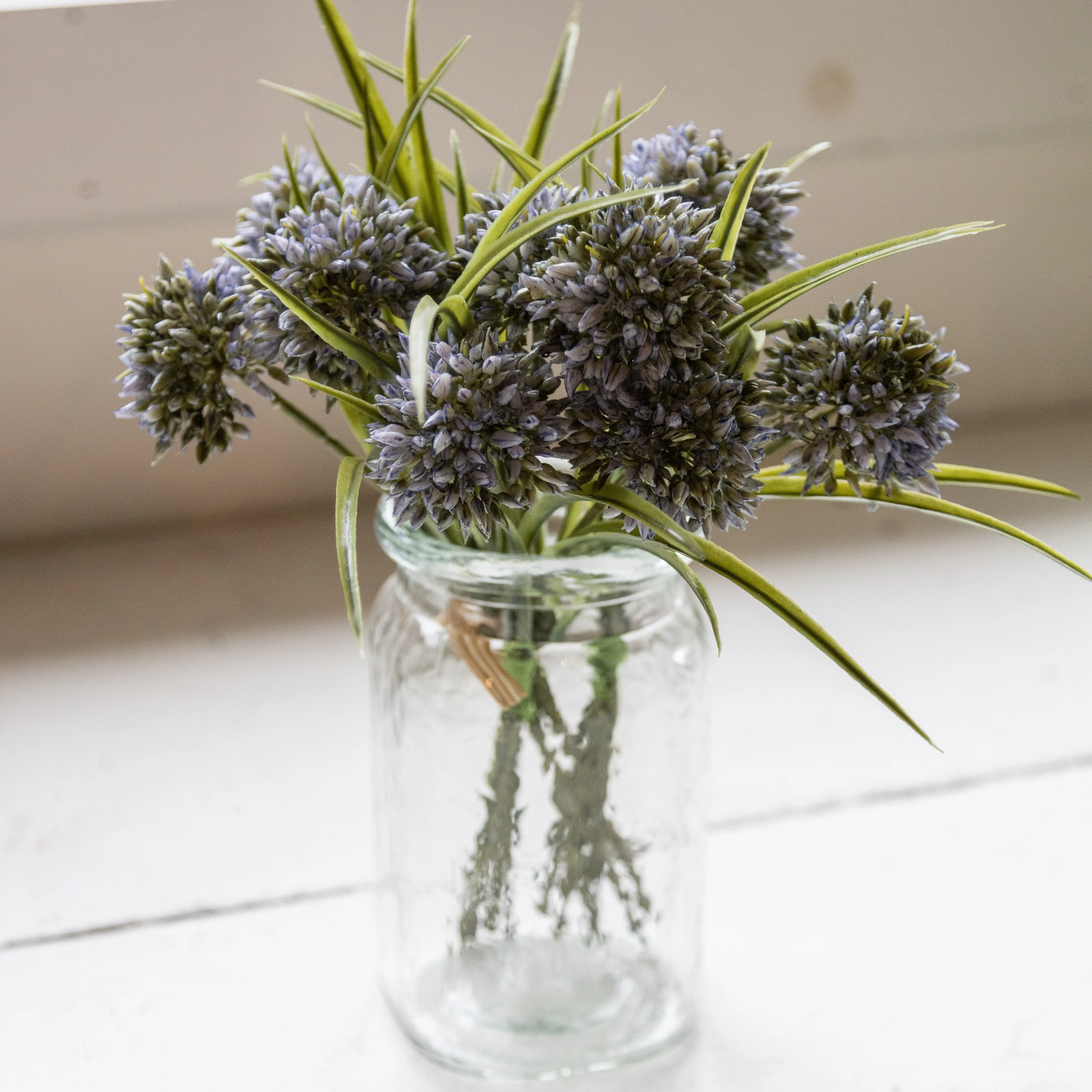 Blue Allium Grass