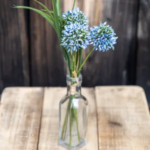 Blue Allium Grass