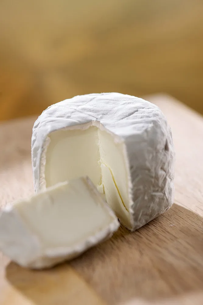 Bollie's Mollies