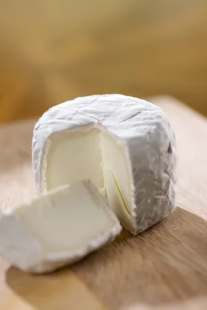 Bollie's Mollies