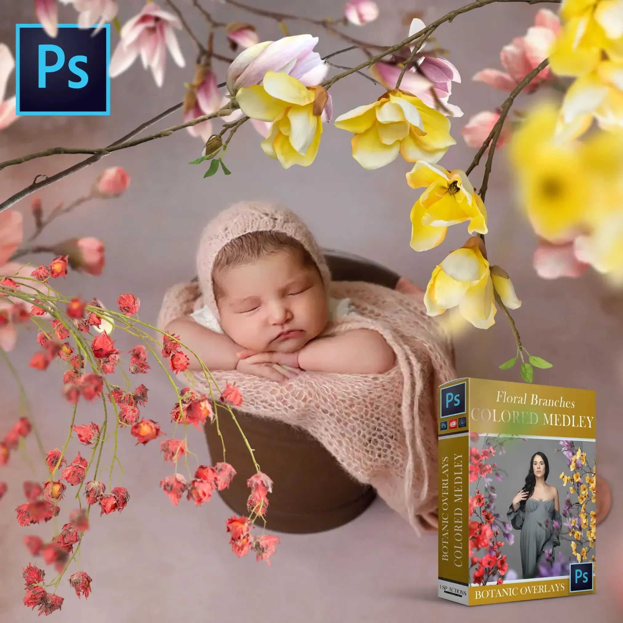Botanical Branch Overlays: Colored Floral Branches