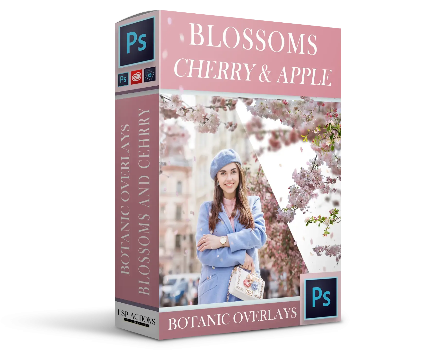 Botanical Overlays: Cherry & Apple Blossom Branches