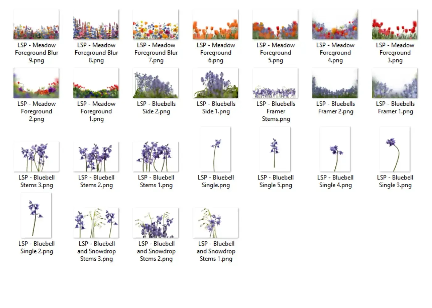 Botanical Overlays - The ENTIRE Bundle   Extras