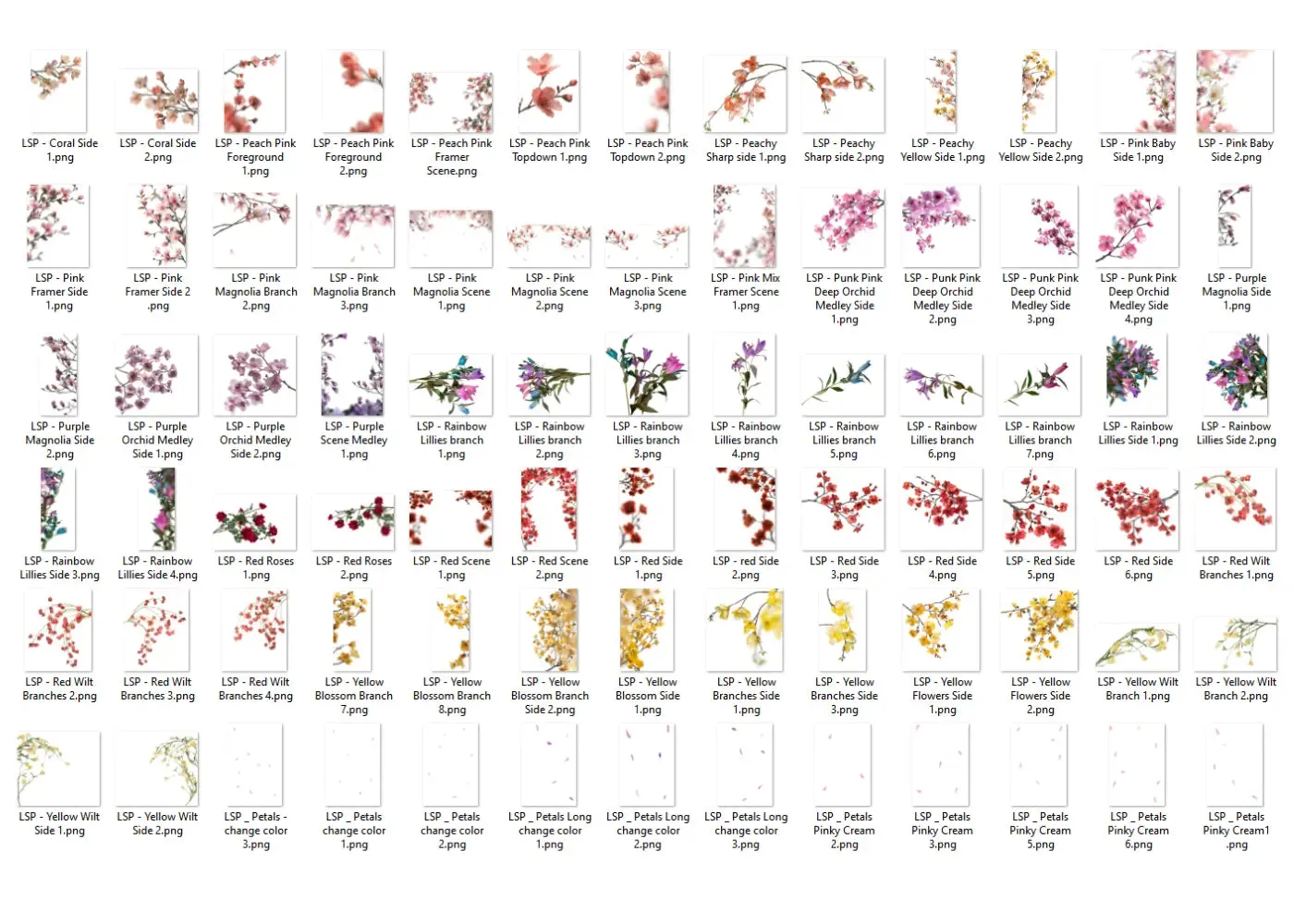 Botanical Overlays - The ENTIRE Bundle   Extras