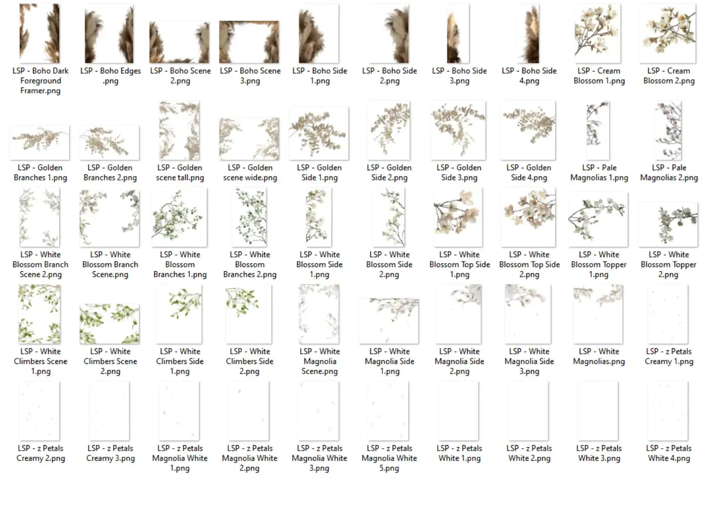 Botanical Overlays - The ENTIRE Bundle   Extras