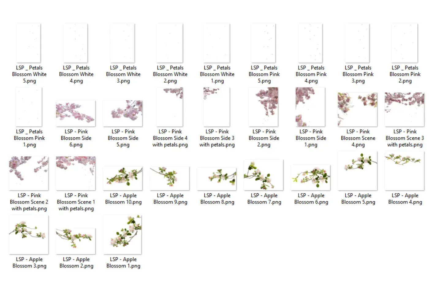 Botanical Overlays - The ENTIRE Bundle   Extras