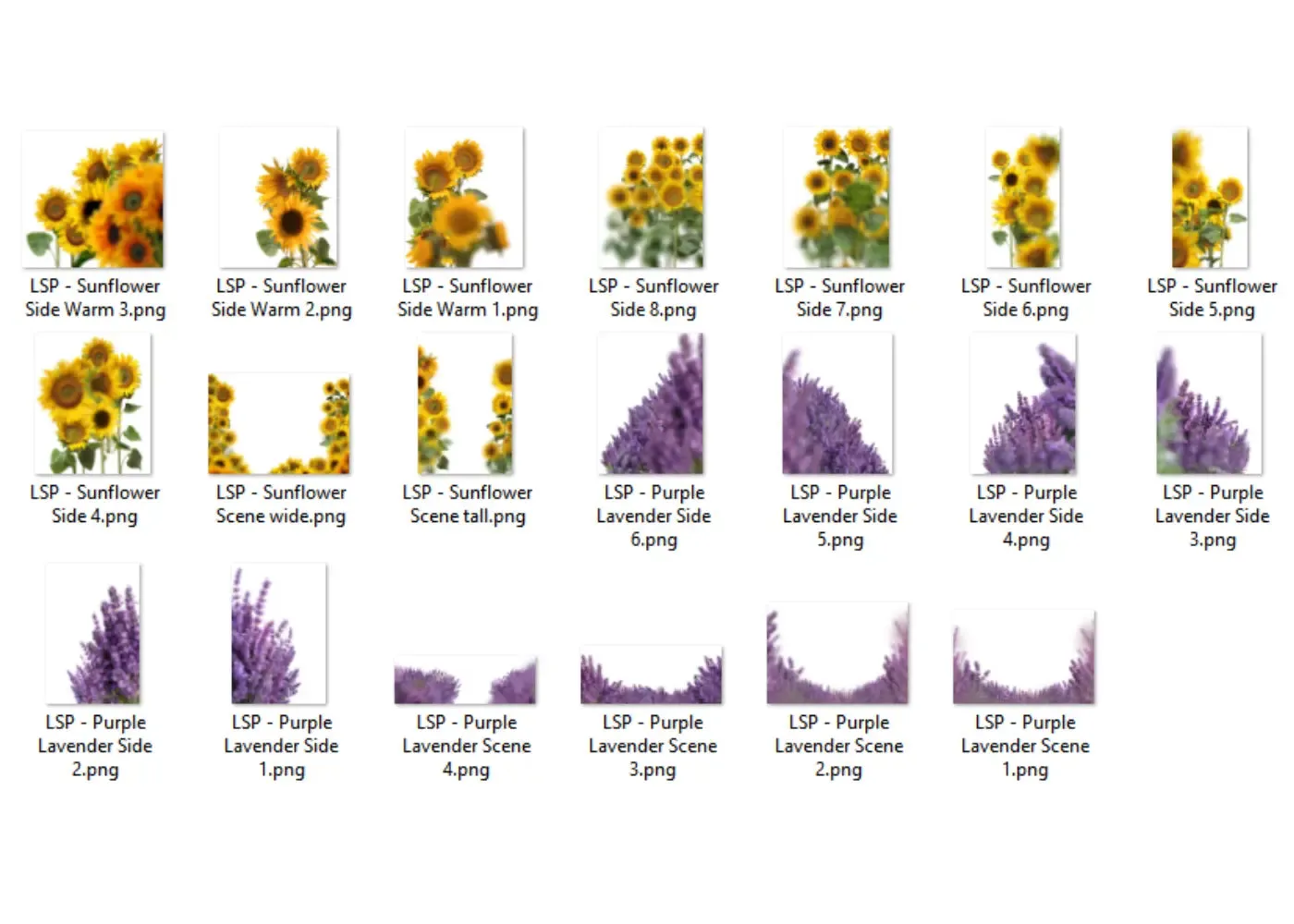 Botanical Overlays - The ENTIRE Bundle   Extras