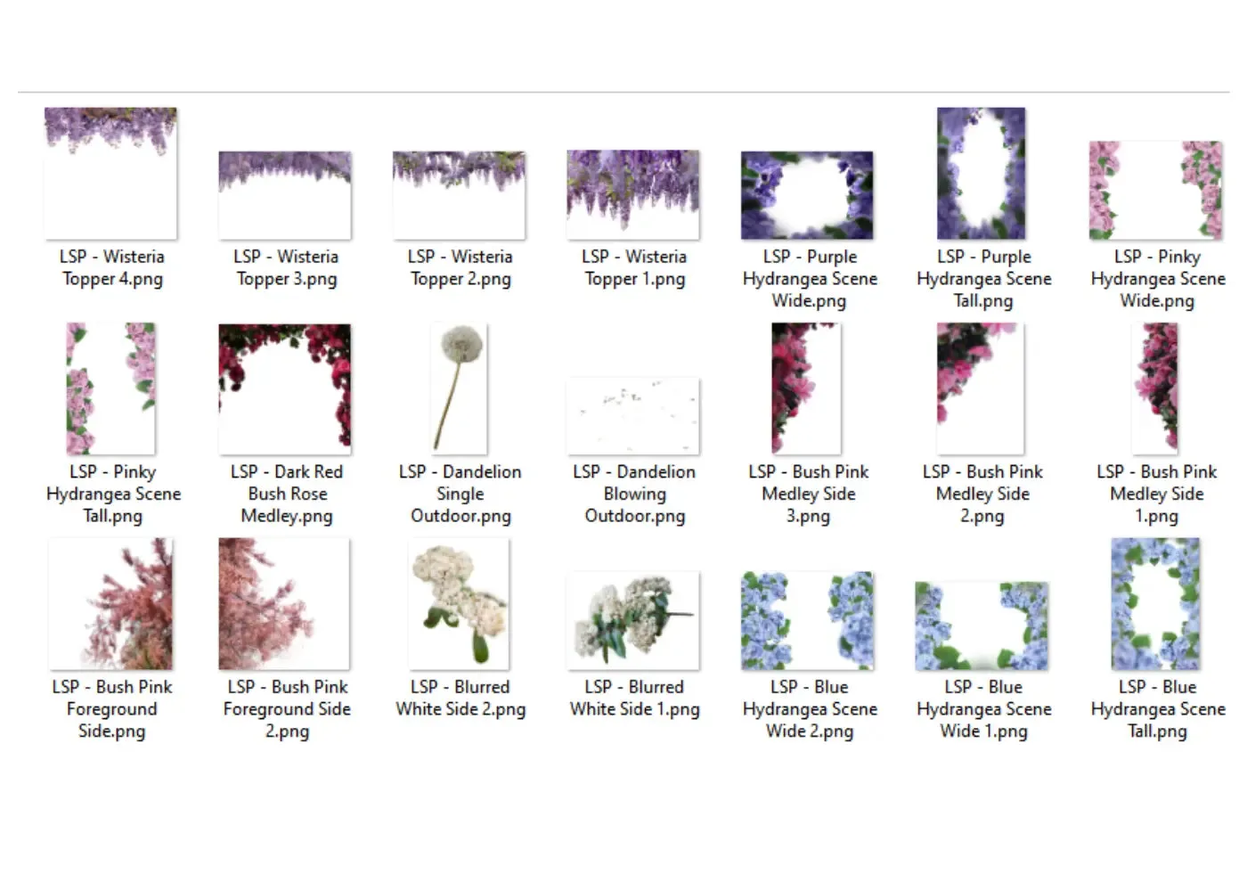 Botanical Overlays - The ENTIRE Bundle   Extras