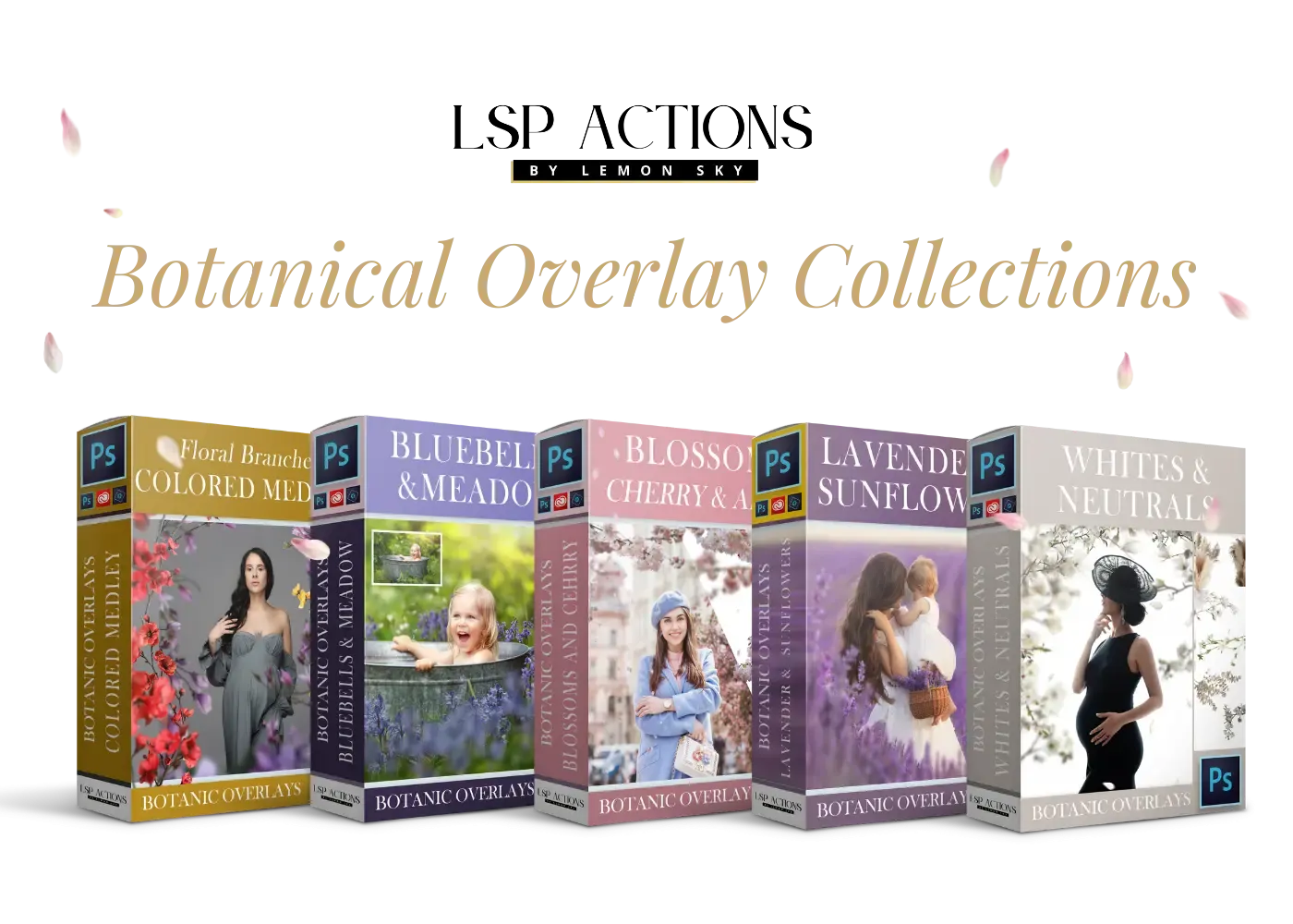 Botanical Overlays - The ENTIRE Bundle   Extras