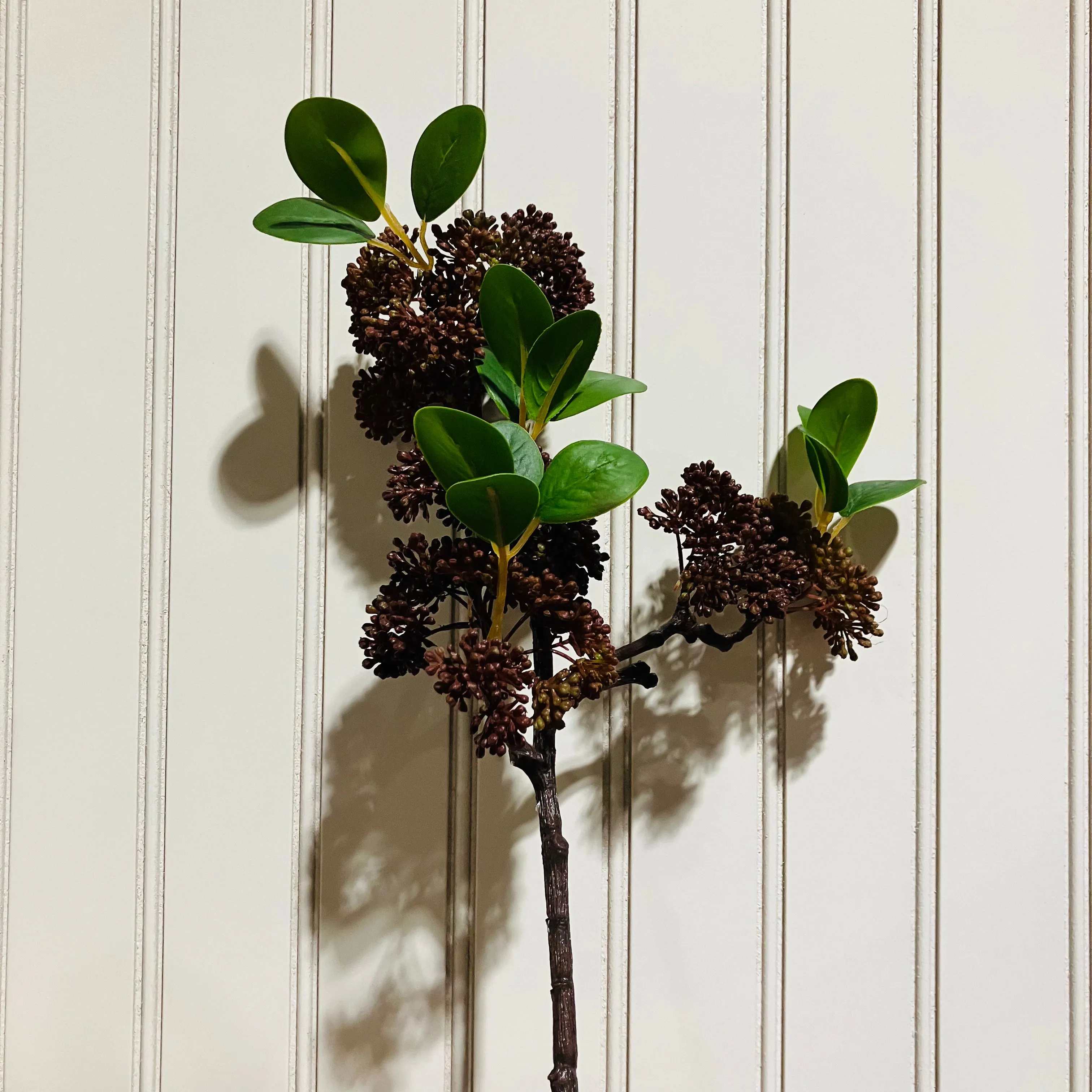 Burgundy Seeded Ficus Spray