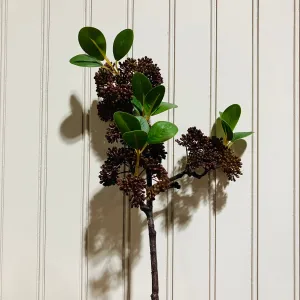 Burgundy Seeded Ficus Spray