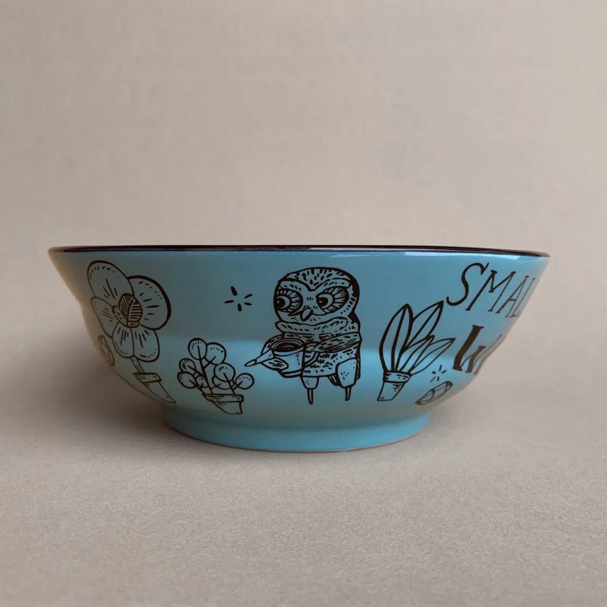 Cary Lane: Spark Owl Noodle Bowl