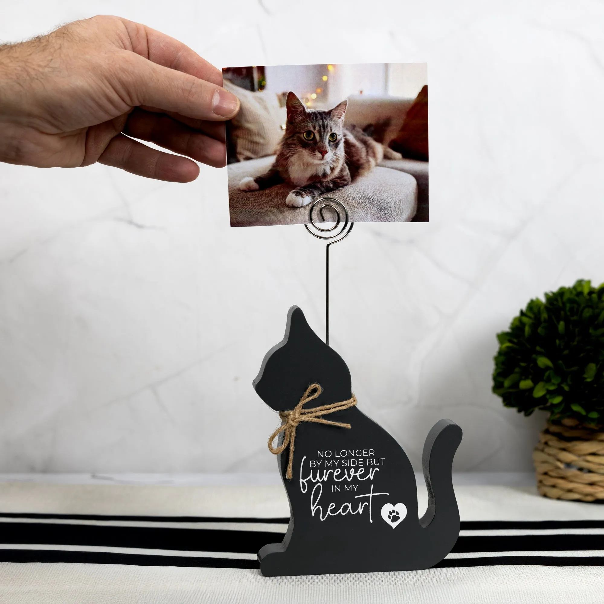 Cat Heart 6" Plaque with Photo Clip
