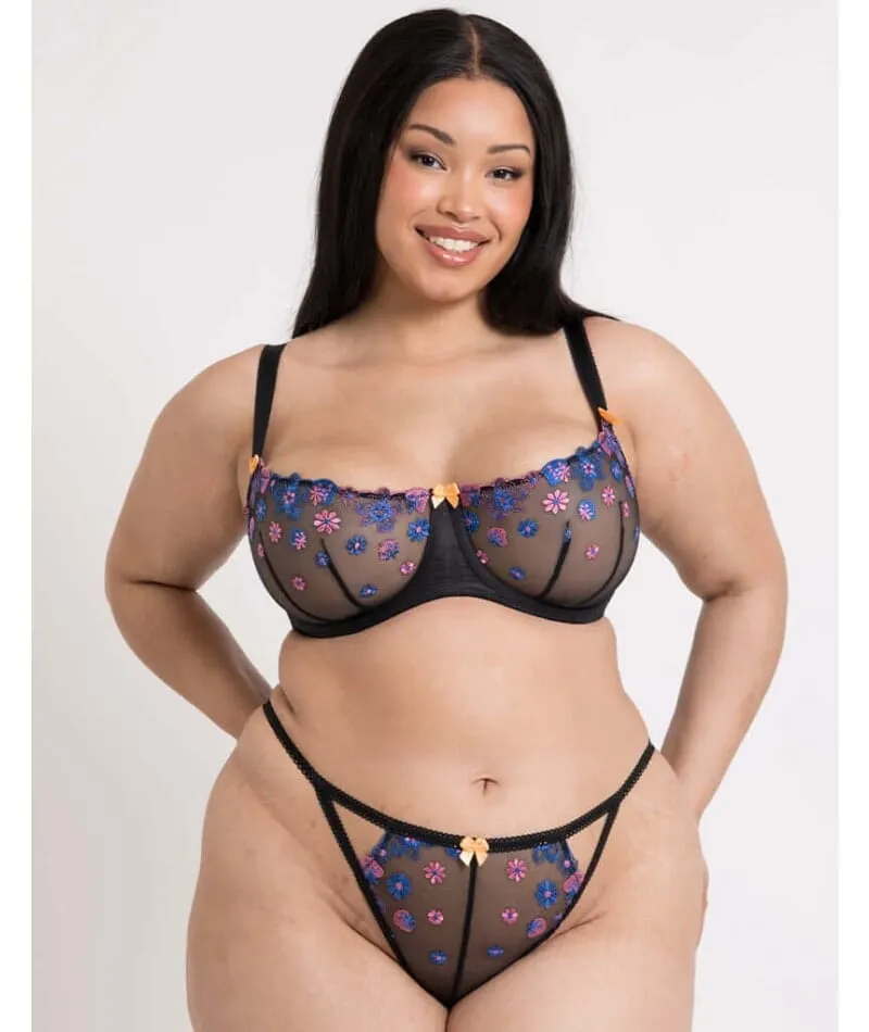 Curvy Kate Strawberry Crush Brazilian Brief - Black Multi