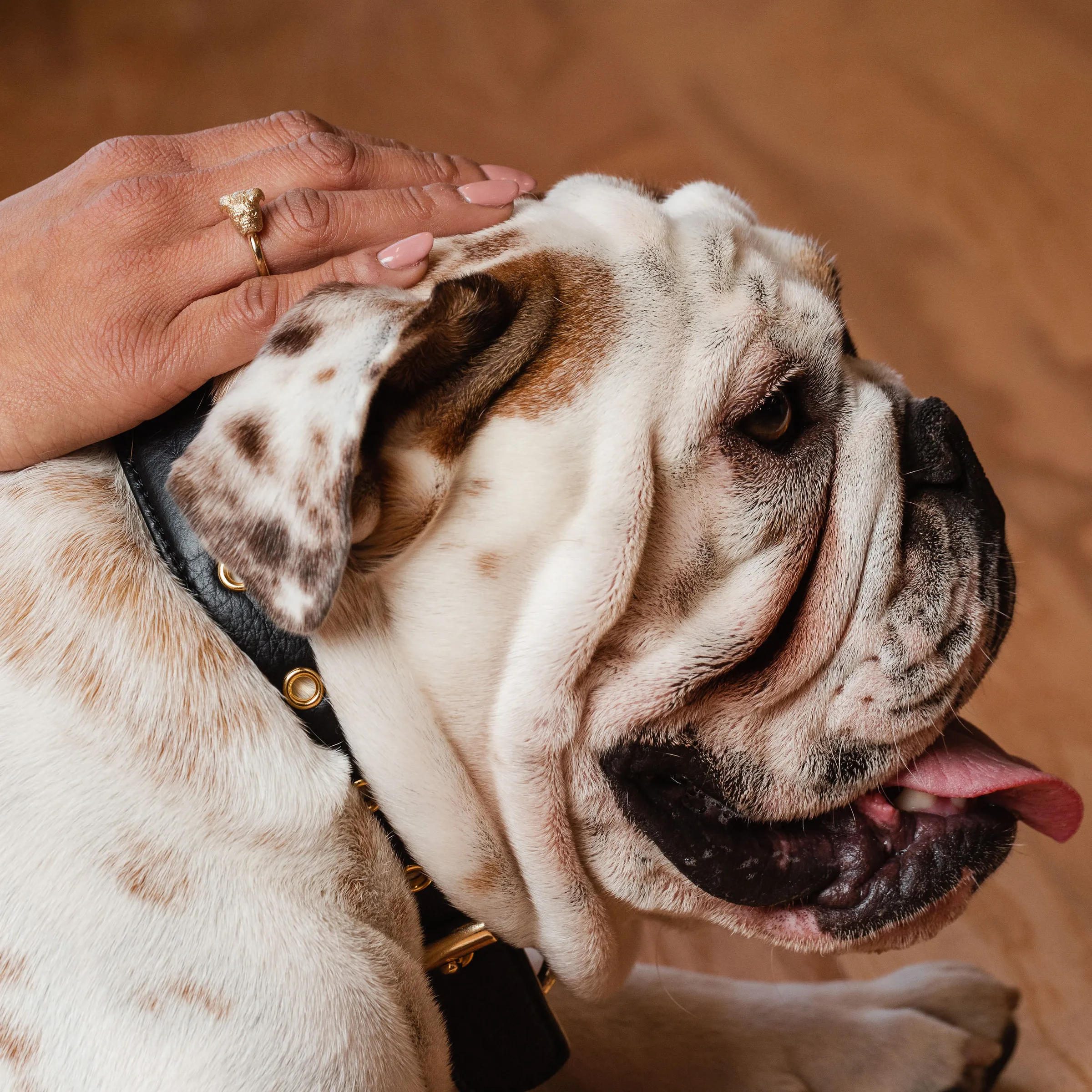 English Bulldog Ring