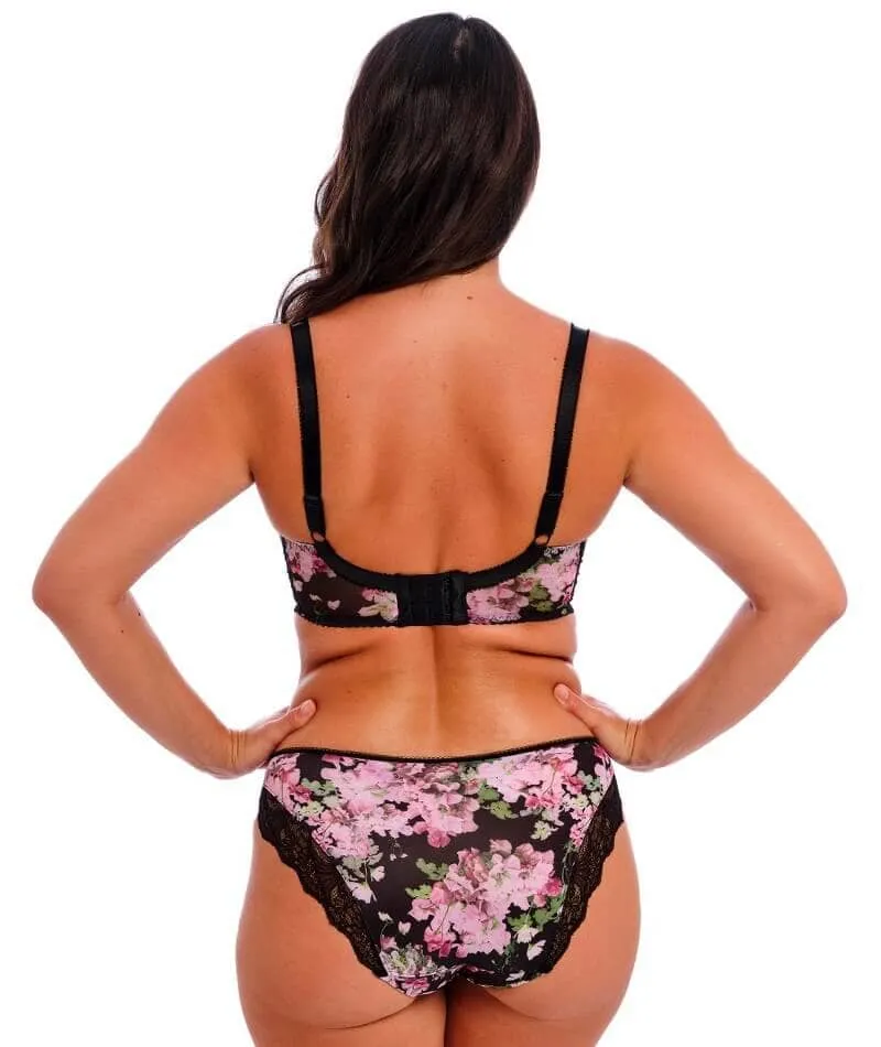 Fantasie Lucia Brief - Sweet Pea