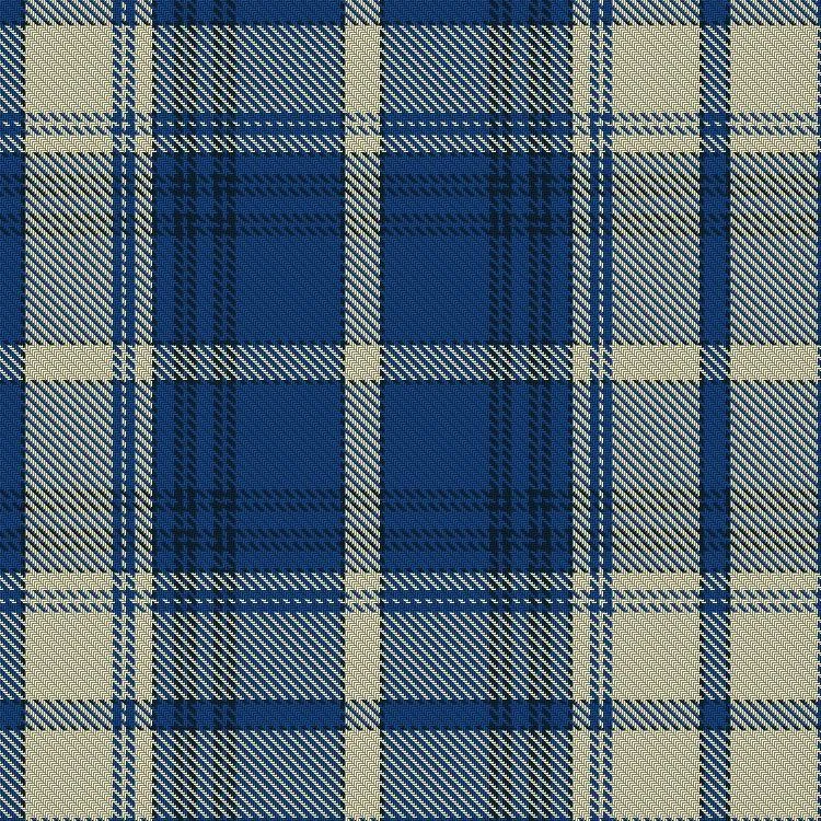 Finnish Tartan
