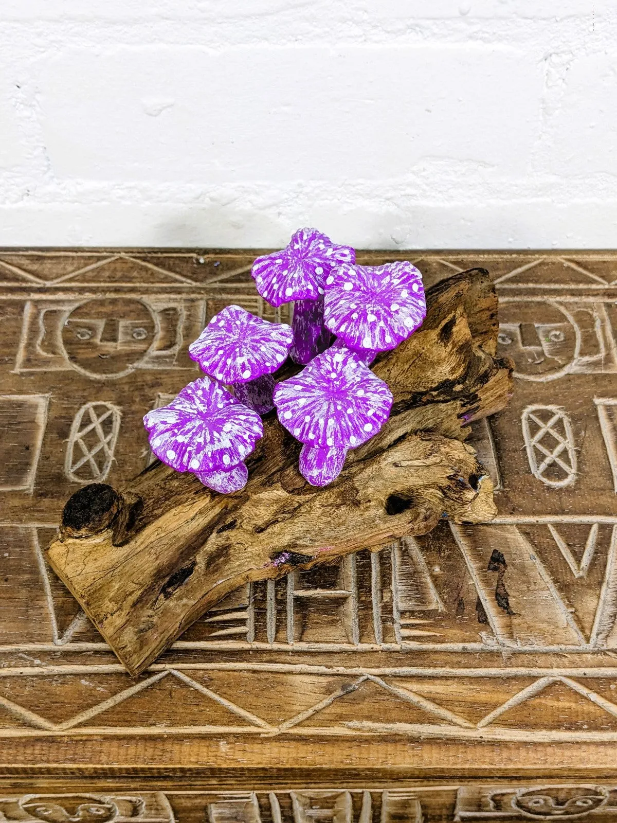 Five Mushrooms On Log