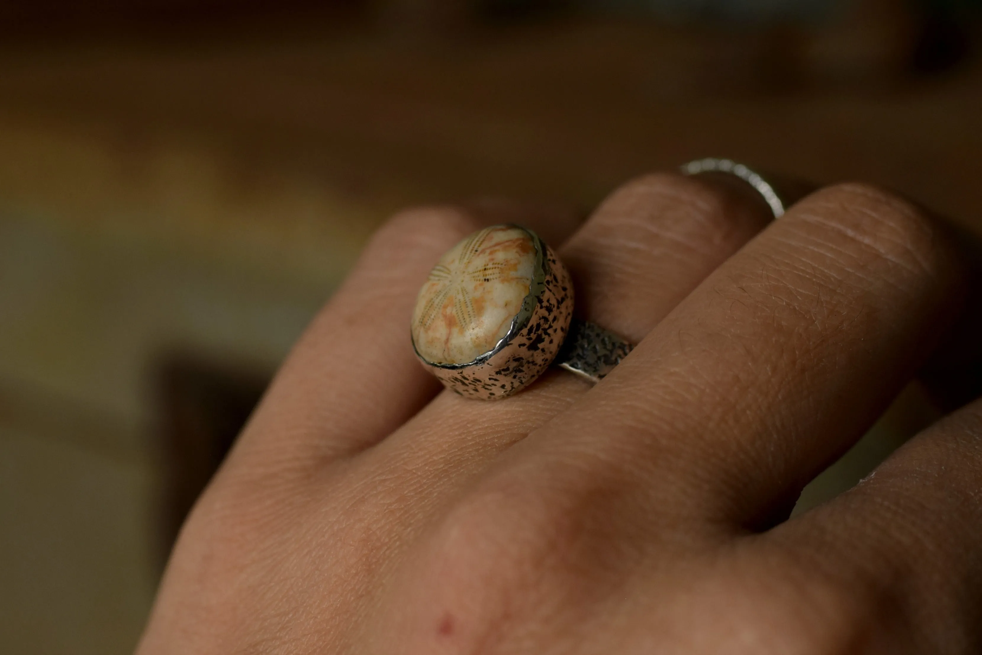 Fossilized Sand Dollar - Fossil Ring - Sterling Silver - Size 7 - Size 8.25