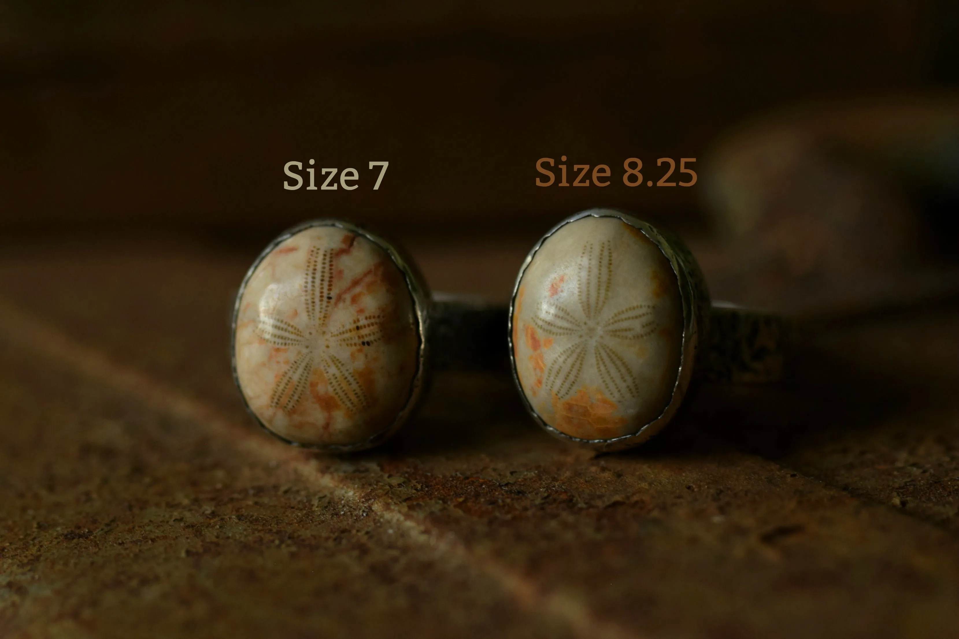 Fossilized Sand Dollar - Fossil Ring - Sterling Silver - Size 7 - Size 8.25