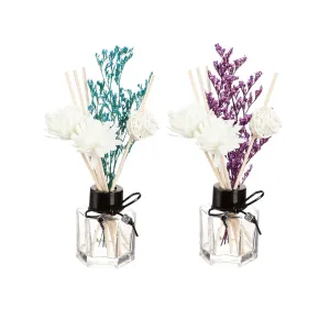 Glass Fragrance Diffuser with 6 Reeds and Dried Floral and 50ml Oil, 2 Asst,7df044