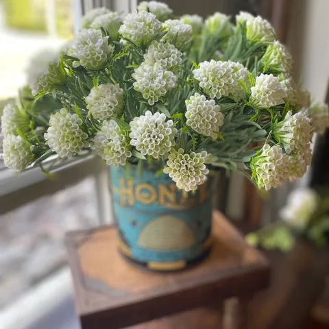 Honeycomb Spray White