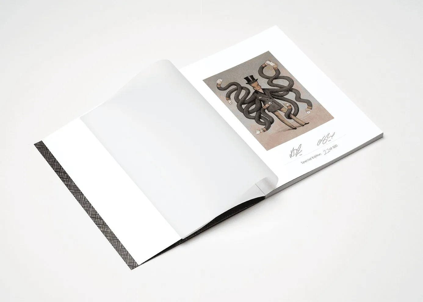 If an Octopus Could Palm by Dan & Dave