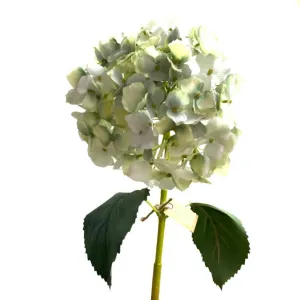 Light Green Hydrangea Spray