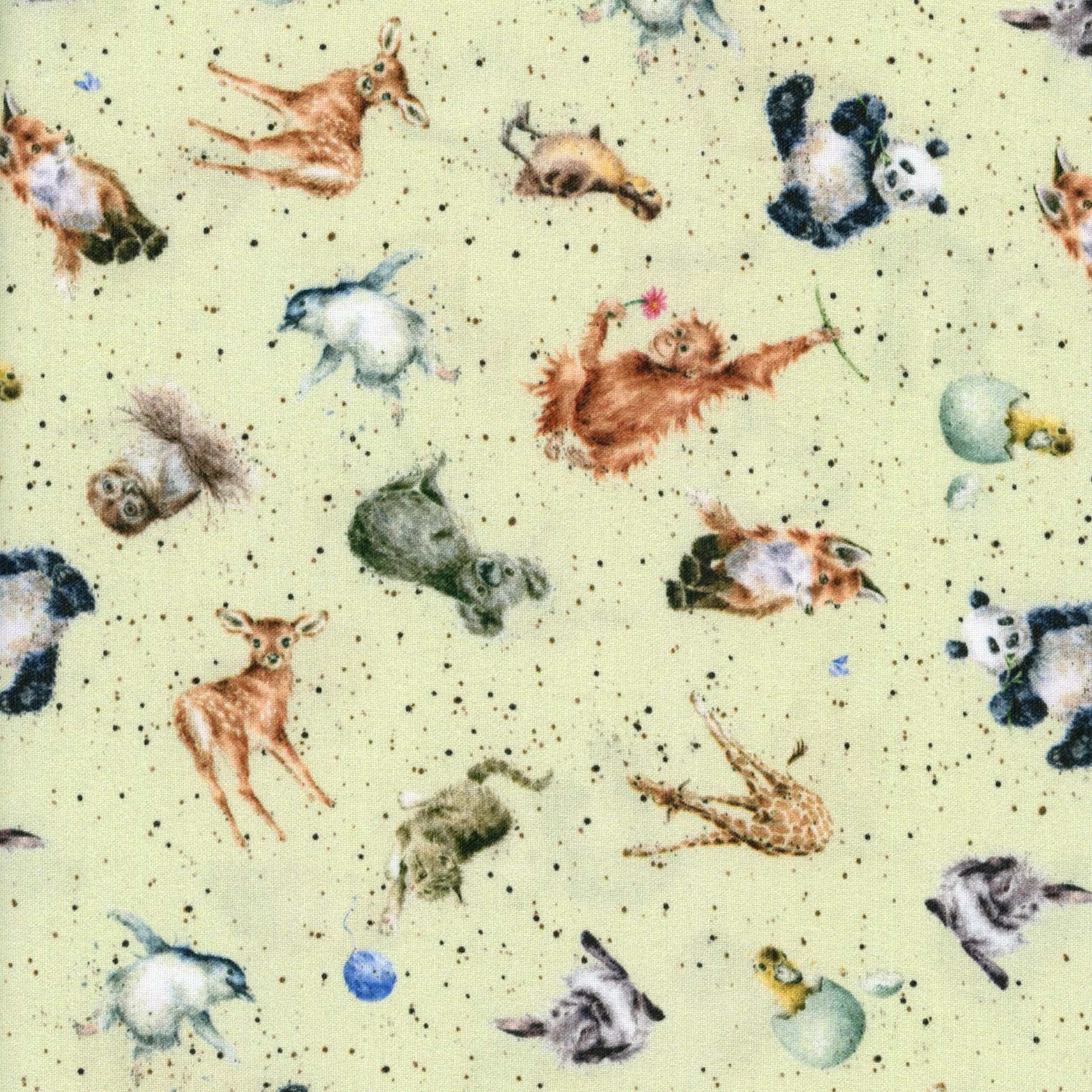 Lloyd Curzon Love Is - Baby Animals