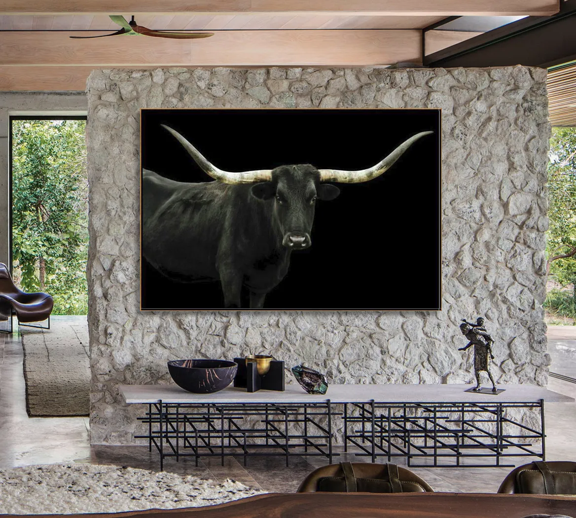 Longhorn 4 by Adam Mowery