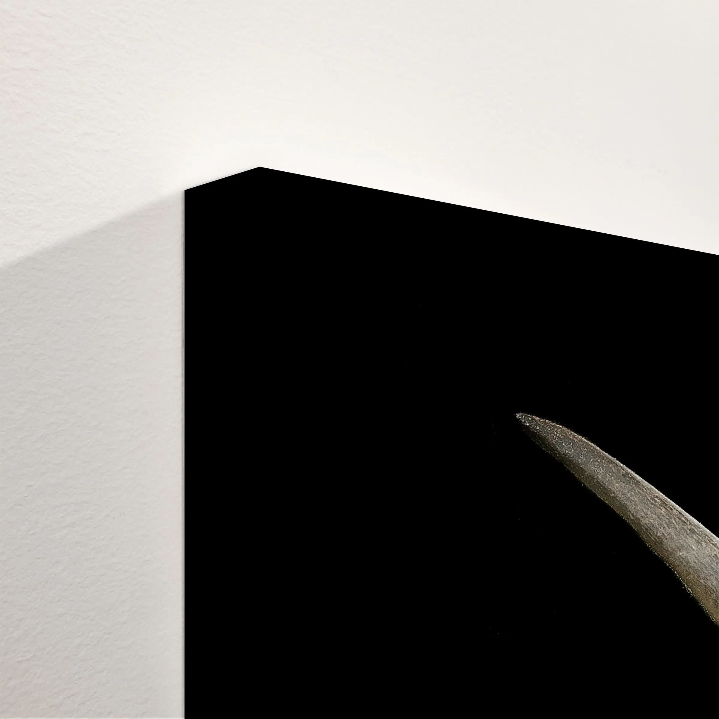 Longhorn 4 Triptych by Adam Mowery