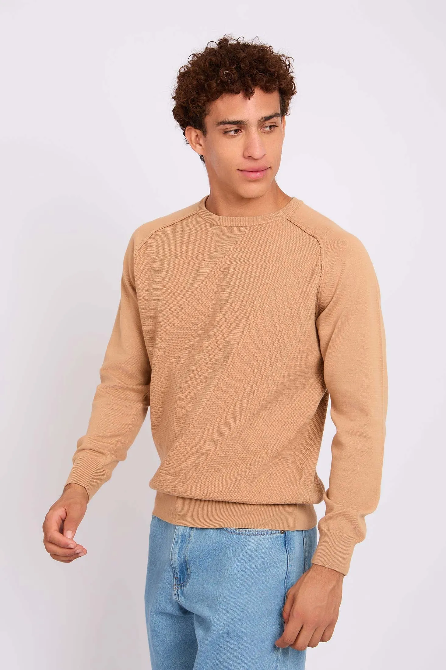 Men Pullover Regular Fit  Beige