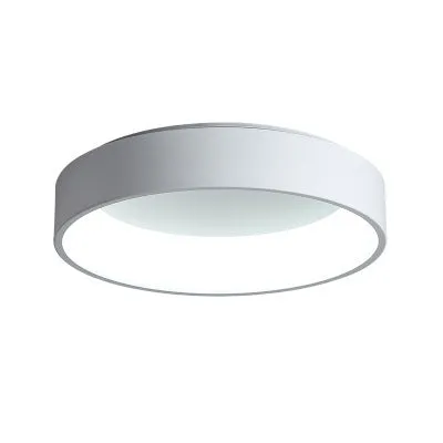 Minimalist Contemporary LED Flush Mount Modern Metal Ceiling Lamp for Bedroom