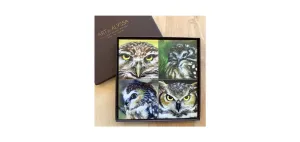 Owl Coaster Set of 4