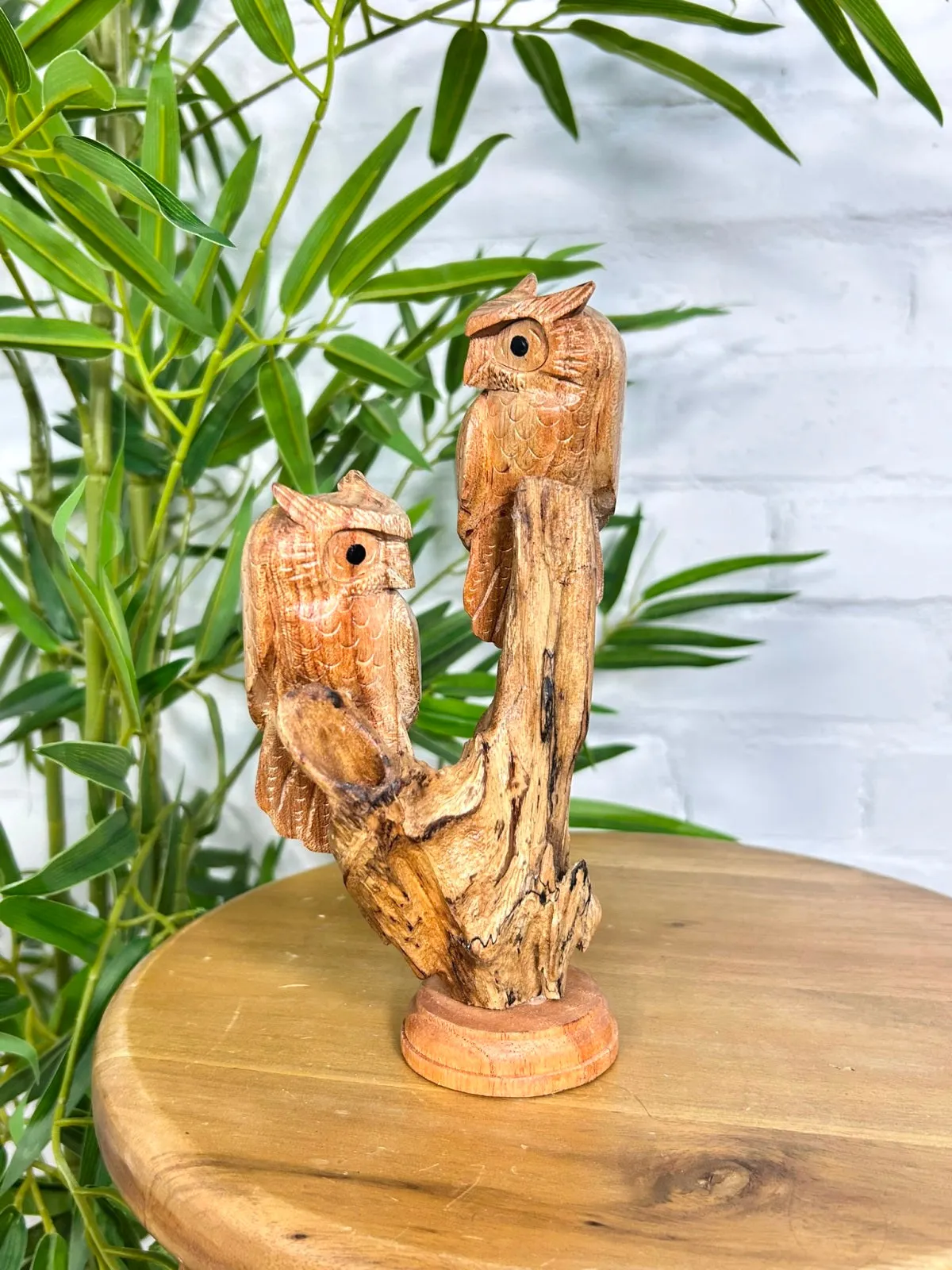 Pair Of Owls on Log