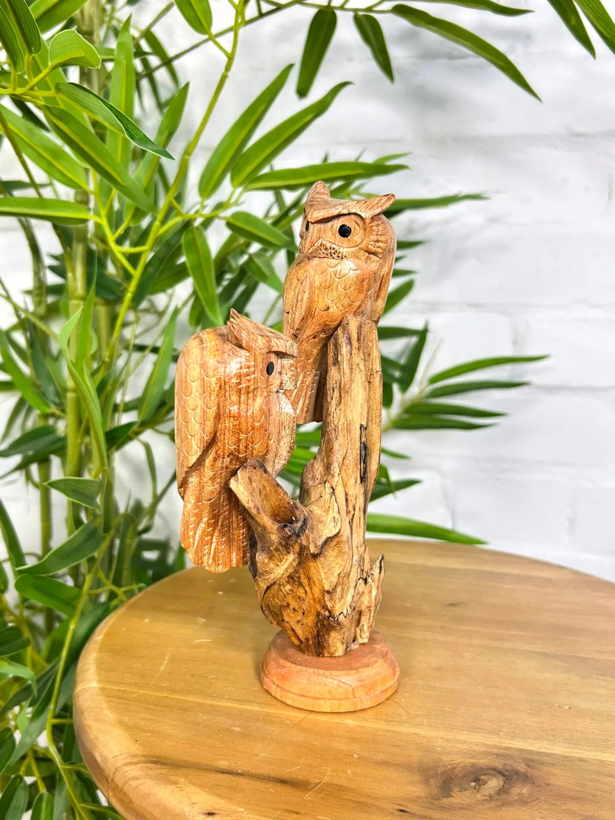 Pair Of Owls on Log