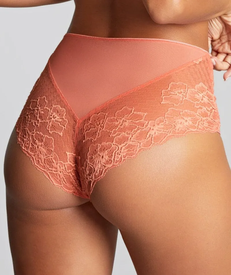 Panache Envy Deep Brief - Terracotta