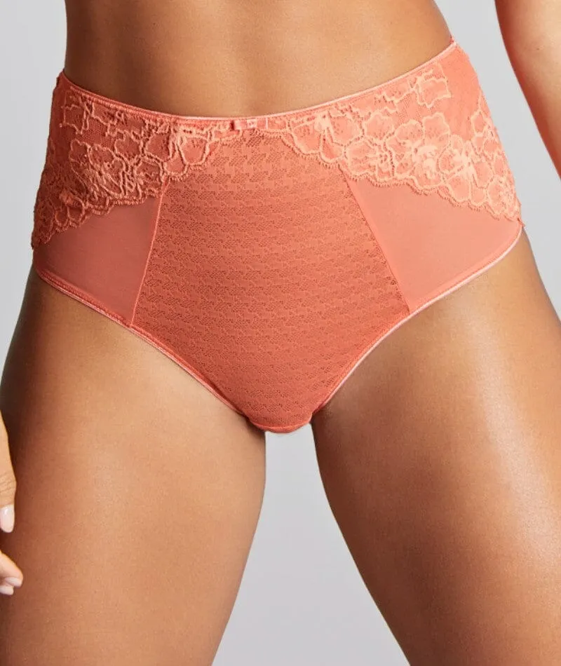 Panache Envy Deep Brief - Terracotta