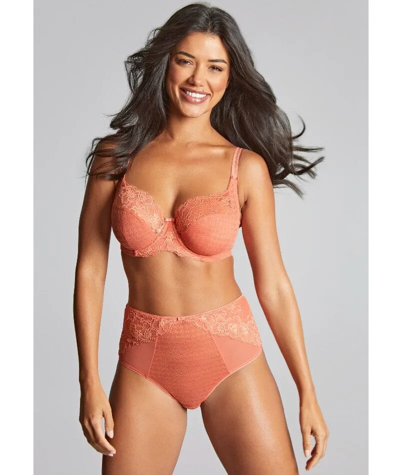 Panache Envy Deep Brief - Terracotta