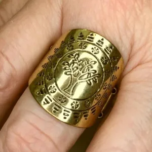 Paparazzi - It's a Tree Country - Brass Ring