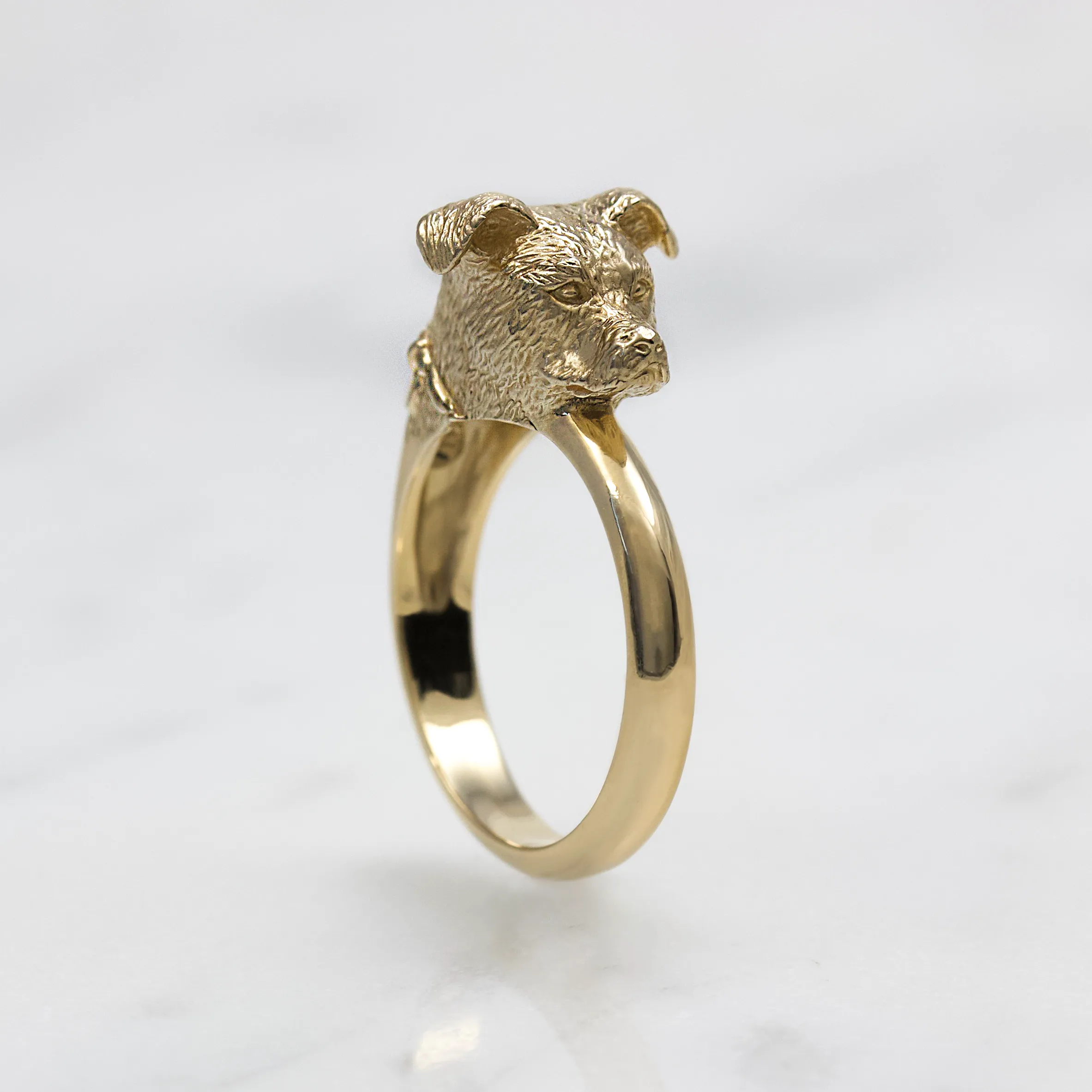 Pitbull Ring