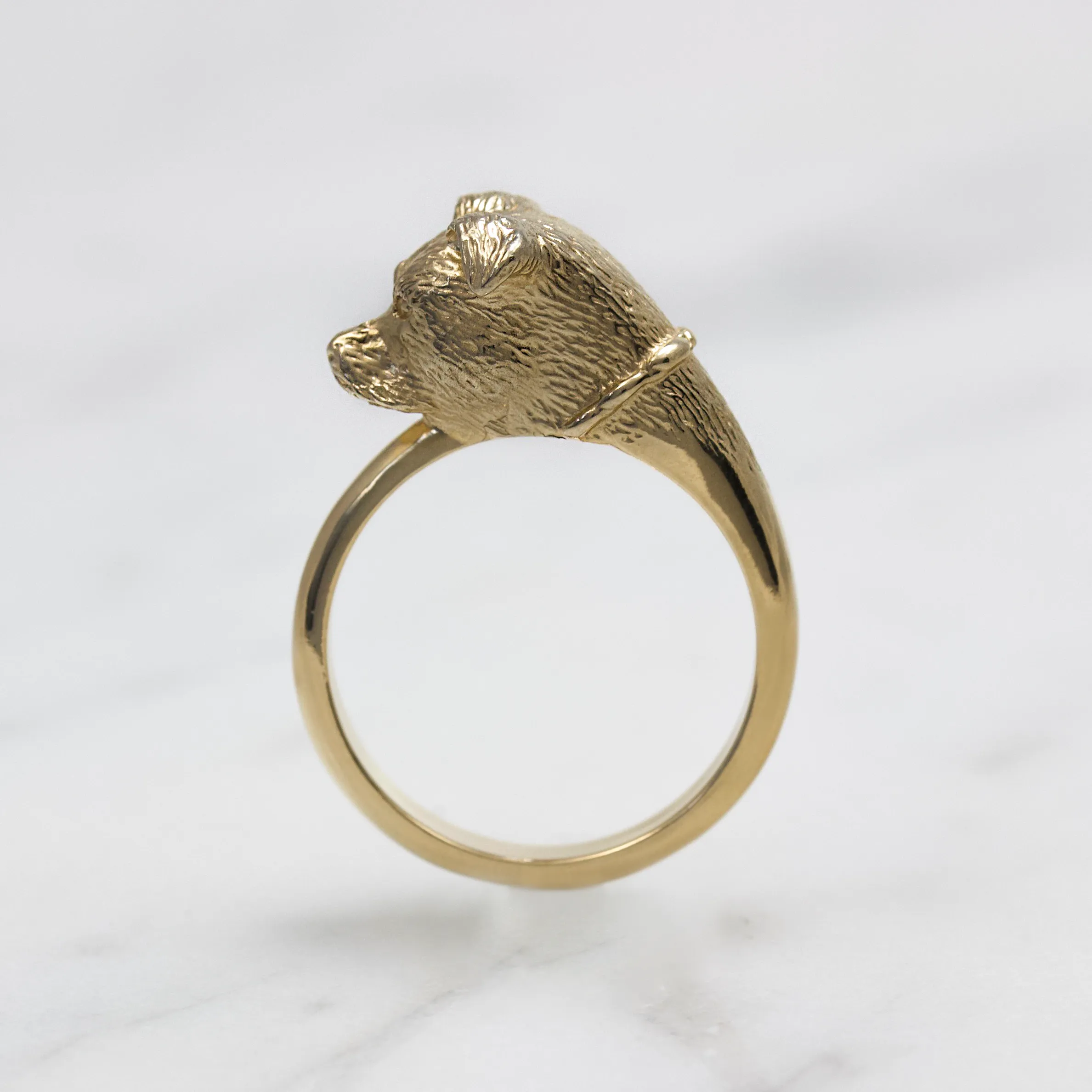 Pitbull Ring